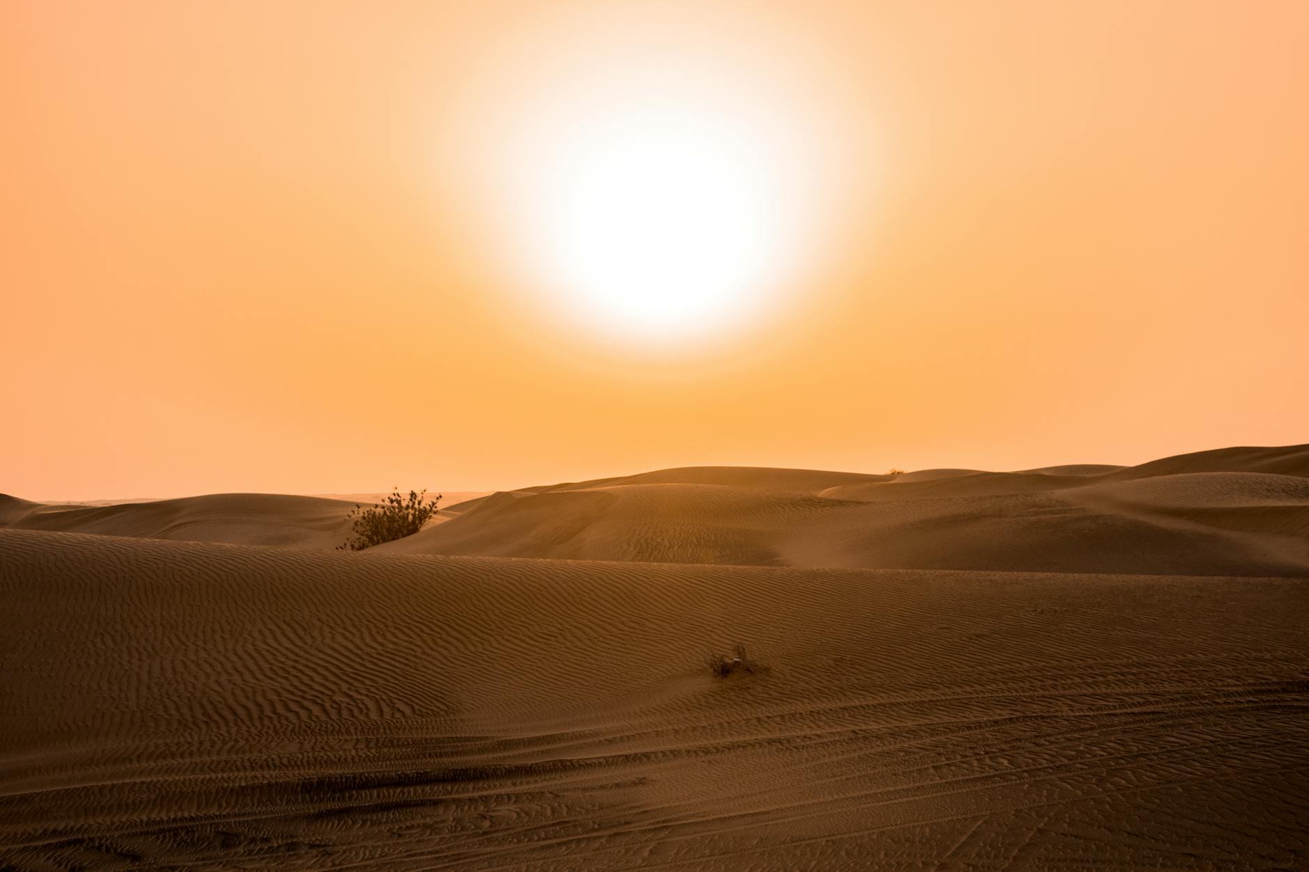 Why Heat Training Makes You a Stronger Runner